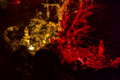 PXL_20240818_232959436.NIGHT_